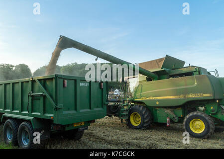 Mähdrescher Übertragen von Weizen Korn zu einem Anhänger während der Weizenernte, Nottinghamshire, England, Großbritannien Stockfoto