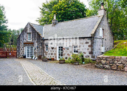 Die frühen Boorachie bei Milton von crathes Crathes Art Village in der Nähe von Banchory Aberdeenshire Schottland Großbritannien Stockfoto