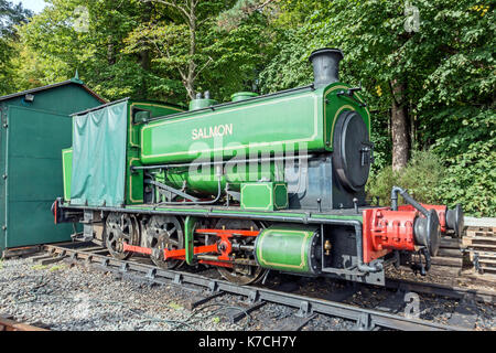 Dampfmaschine Lachs bei Milton von crathes Bahnhof in der Nähe von Banchory Crathes Aberdeenshire Schottland Großbritannien Stockfoto