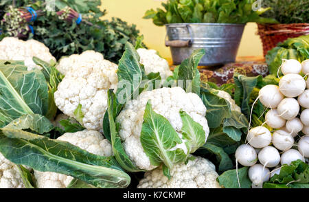 Blumenkohl und weiße Rüben zu einem Bauernmarkt. Stockfoto