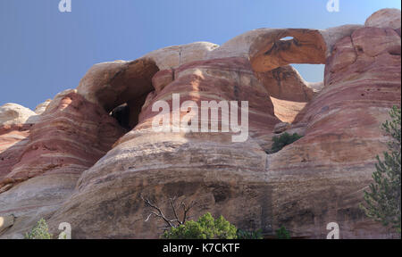 Loch in der Brücke Arch, Rattlesnake Canyon, schwarz ridge Wilderness, Colorado Canyon National Conservation Area, in der Nähe von Grand Junction, Colorado, USA. Stockfoto