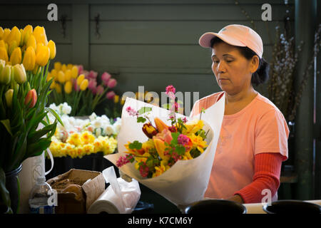 SEATTLE - Apr 11, 2014: Unbekannter flower Vendor at Pikes Place Market ordnet einen Blumenstrauß. Der Markt ist eine große Quelle von frischem Bloo bekannt Stockfoto