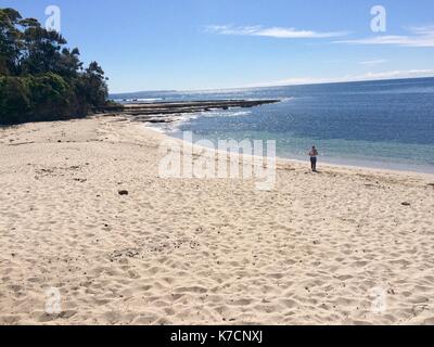 Strand in PAPAMOA an der Südküste Stockfoto