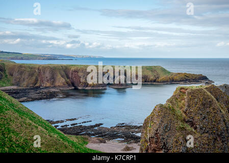 An der felsigen Küste, in der Nähe von Dunnottar Castle, Stonehaven, Schottland Stockfoto