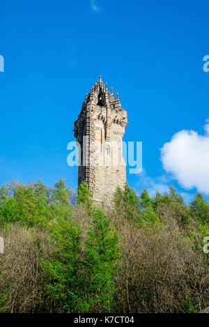 Ein Blick auf die nationalen Wallace Monument aus dem Visitor Centre, Central Scotland Stockfoto