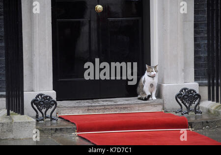 Foto muss Gutgeschrieben © Kate Grün/Alpha Presse 079965 22/04/2016 Larry die Katze draußen Nr. 10 Downing Street in London, wo David Cameron ist Treffen mit Präsident Barack Obama. Stockfoto