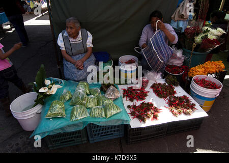 Tepoztlan, Morelos, Mexiko - 2013: Am Wochenende folkloristisch-Markt ist einer der wichtigsten Sehenswürdigkeiten der Stadt. Stockfoto