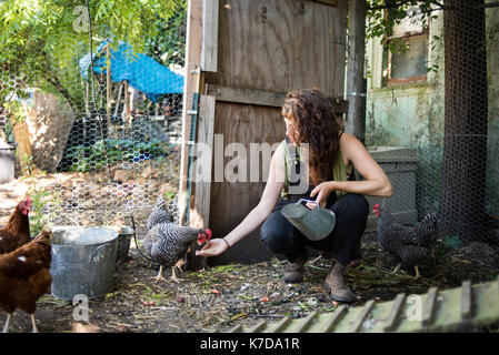 Frau Fütterung von Legehennen bei Geflügel Farm Stockfoto