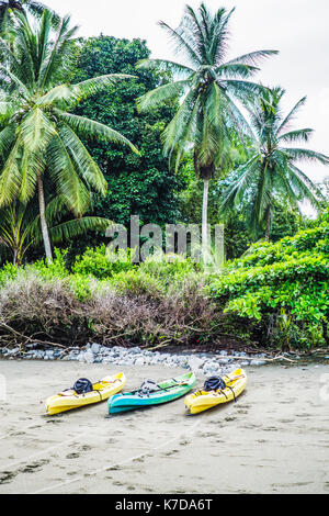 Kajaks von Palmen im Pan Dulce Beach, Costa Rica Stockfoto