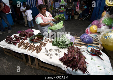 Tepoztlan, Morelos, Mexiko - 2013: Am Wochenende folkloristisch-Markt ist einer der wichtigsten Sehenswürdigkeiten der Stadt. Stockfoto