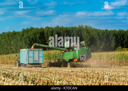 Mähdrescher der Mais, und es im Trailer von der Traktor abgeschleppt herunterladen, auf der suggestiven Bereich gibt es die blaue Wolke Himmel Stockfoto
