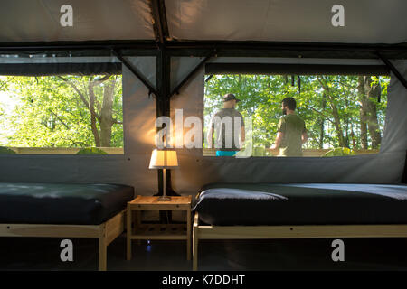 Ansicht der Rückseite des Wanderer in Wald durch Zelt Fenster gesehen Stockfoto