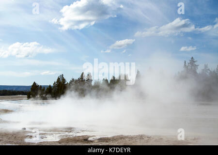 Dampf aus den heißen Quellen des Yellowstone National Park Stockfoto