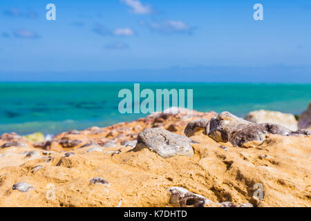 Details zu spezifischen Felsen an einem Strand in der Normandie im Norden Frankreichs. Stockfoto
