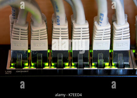 Gigabit-ethernet-Verbindung Stockfoto