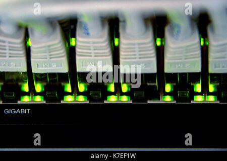 Gigabit-ethernet-Verbindung Stockfoto