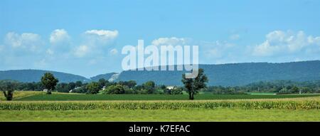 Panoramablick von Pennsylvania Ackerland Stockfoto