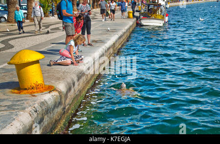 Unechte Karettschildkröten in Argostoli Hafen der Hauptstadt von Kefalonia Stockfoto