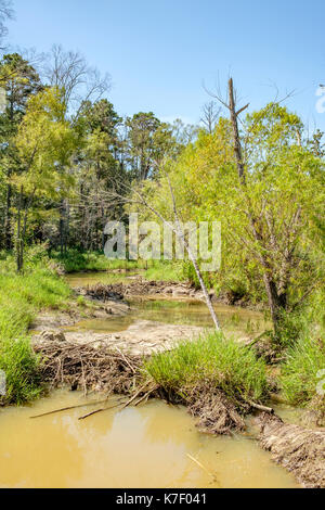 Zwei kleine Biber Dämme auf Milly's Creek in Pike Road, einer wachsenden städtischen Gebiet in ländlichen Alabama, USA. die Dämme von vaughn Straße gesehen werden kann, al 110. Stockfoto