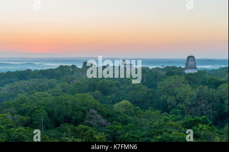 Panorama der Maya Ruinen von Tikal mit seinen Pyramiden in der Peten Dschungel bei Sonnenaufgang, Guatemala, Mittelamerika. Stockfoto