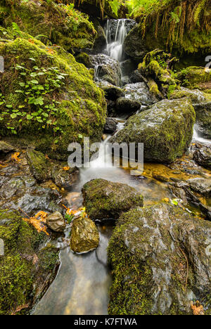 Kleiner Wasserfall in den Bergen von Nord Kalifornien, Farbe Bild Stockfoto