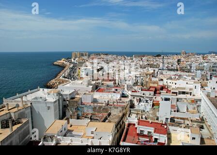 Erhöhten Blick auf die Dächer der Stadt westlich der Glockenturm der Kathedrale, Cadiz, Andalusien, Provinz Cadiz, Andalusien, Spanien, Westeuropa suchen. Stockfoto