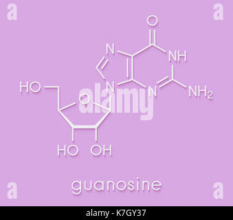 Guanosin Purin-nukleosid-Molekül. Wichtiger Bestandteil des GTP, BIP, cGMP, GMP und RNA. Skelettmuskulatur Formel. Stockfoto