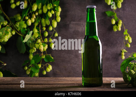 Eine grüne Flasche Bier auf graue Holzwand mit Hopfen. Stockfoto