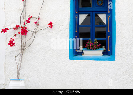 Traditionelle griechische Wand mit blauen und roten Blüten. Stockfoto