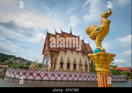 Katze schläft auf den Fliesen am Wat Plai Leam, einem buddhistischen Tempel auf der Insel Ko Samui, Thailand. Stockfoto