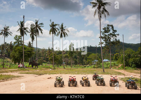 Quad Bikes in einer Linie mit einem Elefanten wandern im Hintergrund geparkt, Koh Samui, Thailand. Stockfoto