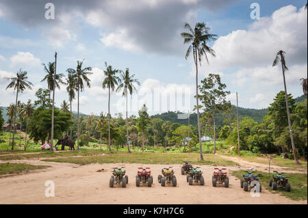 Quad Bikes in einer Linie mit einem Elefanten wandern im Hintergrund geparkt, Koh Samui, Thailand. Stockfoto