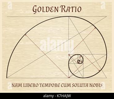 Fibonacci Abschnitt Spirale, goldenen Anteil natur Harmonie vintage Konzept. Goldene Proportionen Verhältnis retro Blättern Zeichnung Stock Vektor