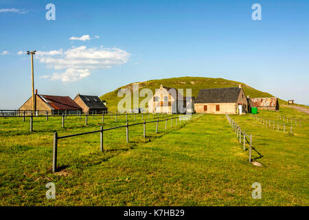 Kühe von Brion, Cezallier, Puy de Dome, Auvergne, Frankreich Stockfoto