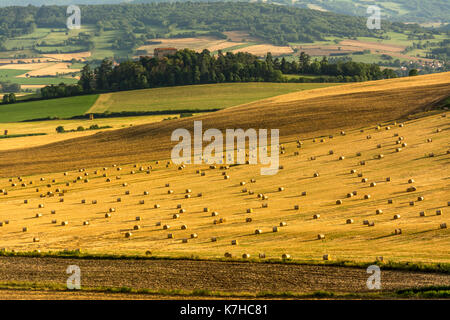 Ballen Stroh, Heu Ballen in der Region Limagne, Puy de Dome, Auvergne, Frankreich Stockfoto