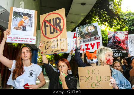 London, Großbritannien. 16. September, 2017. Die anti Pelz Gruppe machten sich auf den Weg von der Waterloo Station treffen zu einem privaten Gareth Pugh Show am BFI IMAX-Kino, bevor sie auf der privaten Burberry in Clerkenwell. Animal Rights Campaign group SURGE Protest gegen London Fashion Week 2017 weiterhin eine Pro - Fell Haltung. Trotz der vielen großen Labels wie Armani, Stella McCartney, Calvin Klein und Vivienne Westwood missbilligenden Fell, London Fashion Week ist auch weiterhin der größte Plattform für Pelz in England zu bieten - obwohl Fell ist illegal in diesem Land zu produzieren. Penelope Barritt/Alamy leben Nachrichten Stockfoto