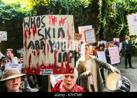 London, Großbritannien. 16. September, 2017. Die anti Pelz Gruppe machten sich auf den Weg von der Waterloo Station treffen zu einem privaten Gareth Pugh Show am BFI IMAX-Kino, bevor sie auf der privaten Burberry in Clerkenwell. Animal Rights Campaign group SURGE Protest gegen London Fashion Week 2017 weiterhin eine Pro - Fell Haltung. Trotz der vielen großen Labels wie Armani, Stella McCartney, Calvin Klein und Vivienne Westwood missbilligenden Fell, London Fashion Week ist auch weiterhin der größte Plattform für Pelz in England zu bieten - obwohl Fell ist illegal in diesem Land zu produzieren. Penelope Barritt/Alamy leben Nachrichten Stockfoto