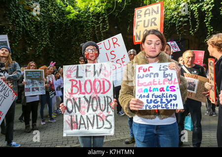 London, Großbritannien. 16. September, 2017. Die anti Pelz Gruppe machten sich auf den Weg von der Waterloo Station treffen zu einem privaten Gareth Pugh Show am BFI IMAX-Kino, bevor sie auf der privaten Burberry in Clerkenwell. Animal Rights Campaign group SURGE Protest gegen London Fashion Week 2017 weiterhin eine Pro - Fell Haltung. Trotz der vielen großen Labels wie Armani, Stella McCartney, Calvin Klein und Vivienne Westwood missbilligenden Fell, London Fashion Week ist auch weiterhin der größte Plattform für Pelz in England zu bieten - obwohl Fell ist illegal in diesem Land zu produzieren. Penelope Barritt/Alamy leben Nachrichten Stockfoto