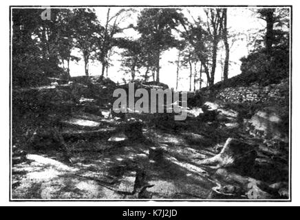 1914 - Ein historisches Foto der versteinerte Wald in Kohle, in der Nähe von Glasgow, Schottland Stockfoto