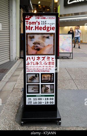 Kyoto, Japan - 16. Mai 2017: Förderung für einen trendigen Igel-themed Cafe Stockfoto