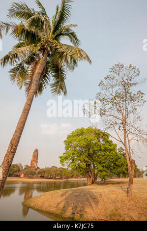 Bäume und See vor der Wat Phra Ram, Ayutthaya Nationalpark, Thailand Stockfoto