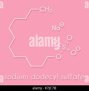 Sodium dodecyl Sulfate (SDS, Natrium Lauryl Sulfat) Tensid Molekül. Häufig in Reinigungsmitteln eingesetzt. Skelettmuskulatur Formel. Stockfoto