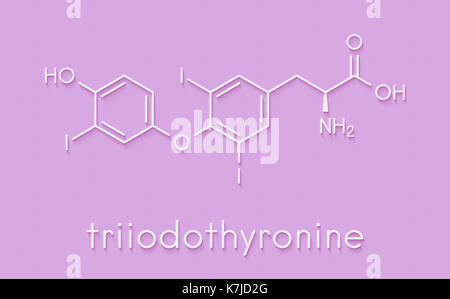 Trijodthyronin (T3, liothyronine) Schilddrüsenhormon Molekül. Hypophyse Hormon. Auch als Medikament für die Behandlung von Hypothyreose verwendet. Skelettmuskulatur Formel. Stockfoto