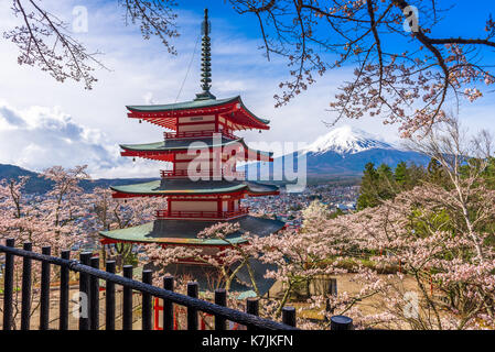 Mt. Fuji, Japan und Pagode im Frühling. Stockfoto