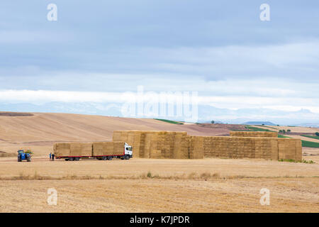 Landwirtschaft Szene von Strohballen für landwirtschaftliche Anhänger versammelt nach Weizen in den Ebenen von La Rioja, Spanien Stockfoto