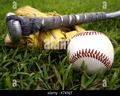 Foto eines Baseball Handschuhe, Baseball und einem Baseballschläger auf dem Gras Stockfoto