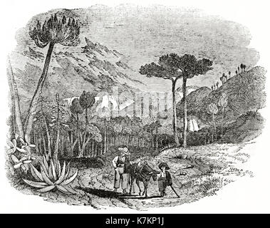 Alte Ansicht von Setubal auf dem Land, Portugal. Von unbekannter Autor, Publ. Auf dem Penny Magazine, London, 1837 Stockfoto