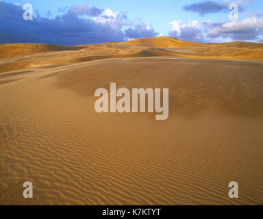 Neuseeland. North Island. Ninety Mile Beach. Stockfoto