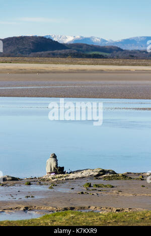 Ein angler (Fischer) Angeln mit Rute und Line in den Fluss Kent Mündung in der Nähe Arnside, an der nord-östlichen Ecke der Morecambe Bay bei Ebbe. Auf der Stockfoto