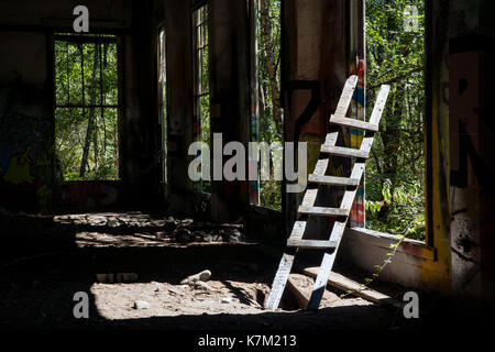 Holzleiter an verlassenen Kraftwerk in der Nähe der Jordan River, Vancouver Island, British Columbia, Kanada Stockfoto